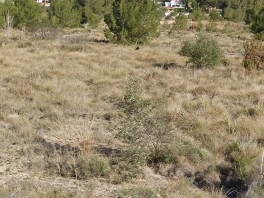 Terreny rústic en venda a Carteros 3, imagen 2