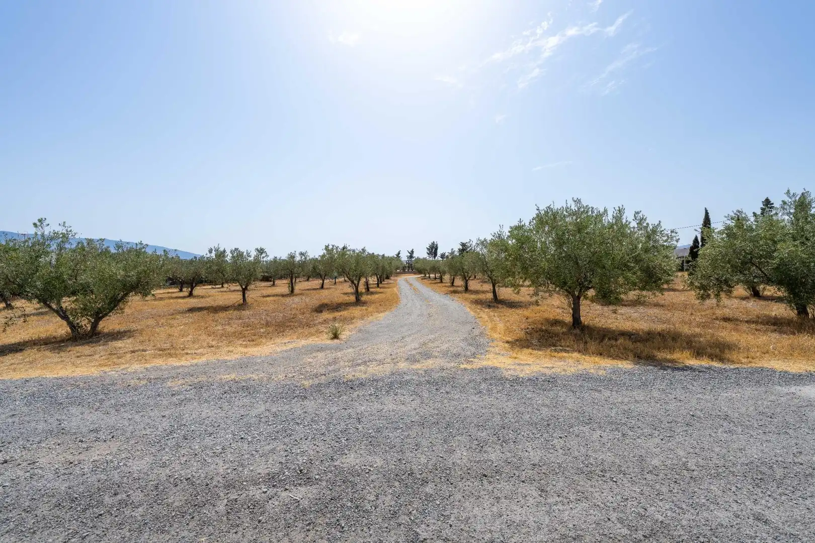 Finca rústica en venta en Tabernas con Aire acondicionado, Jardín privado y Piscina