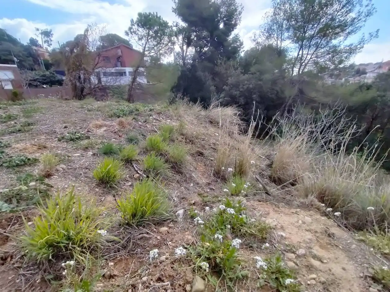 Terreny rústic en venda a Castellnou - Can Mir - Can Solà, imagen 4