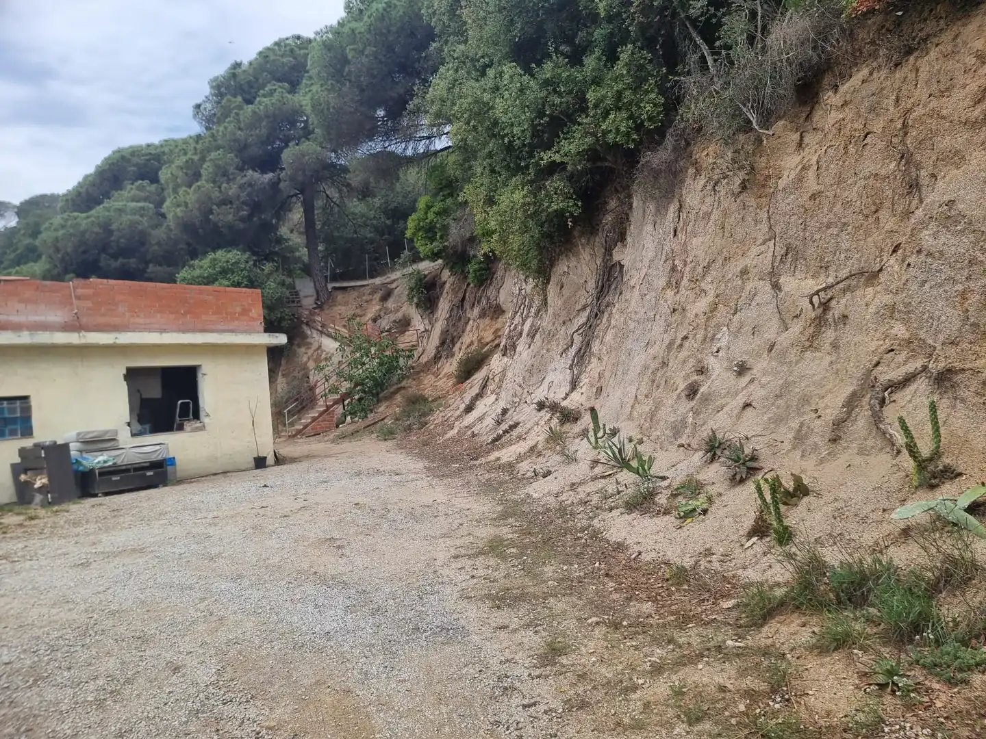 Casa con piscina en venta en Avinguda Can Massuet, imagen 2