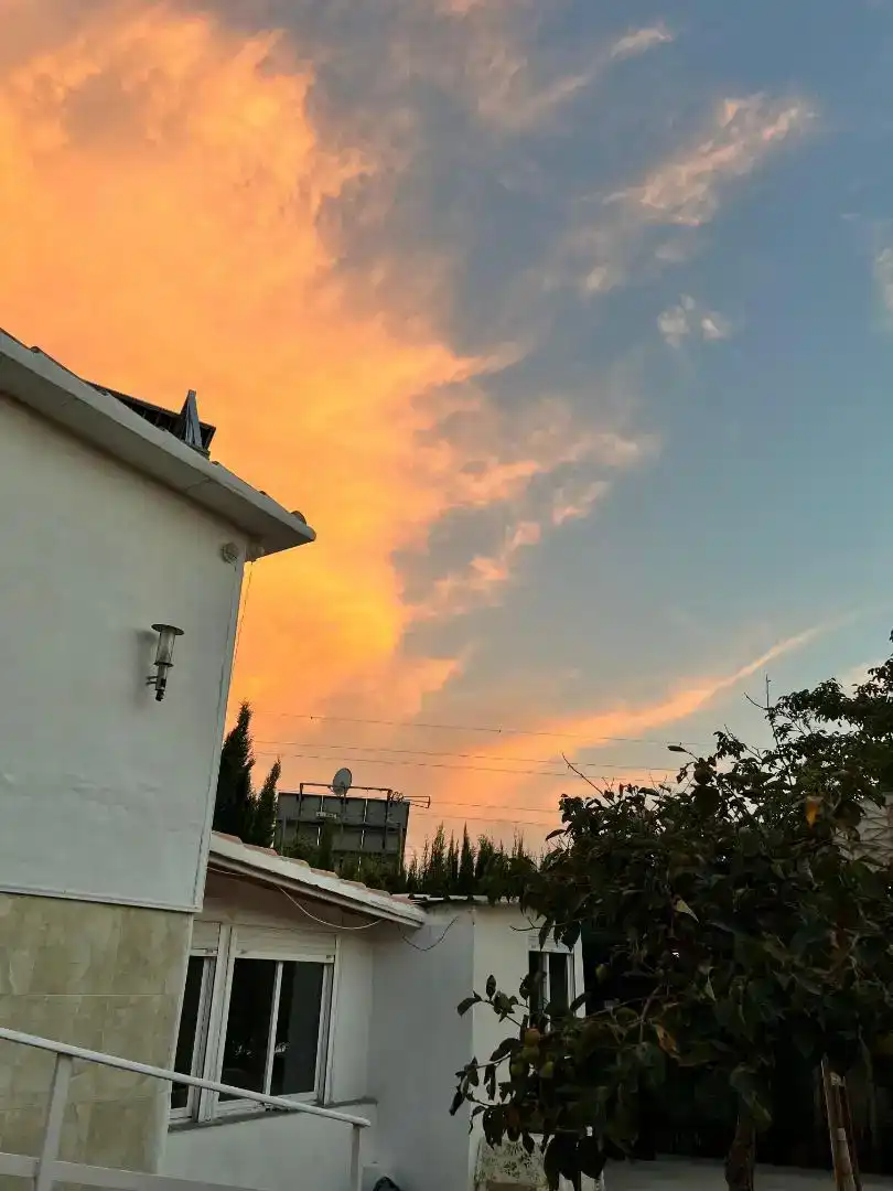 Vista exterior de Casa o xalet en venda en Albolote amb Aire condicionat, Jardí privat i Traster
