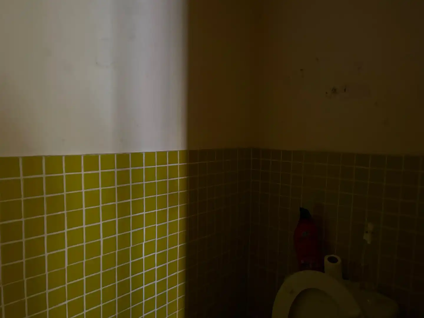 Local comercial de lloguer a Calella, imagen 13
