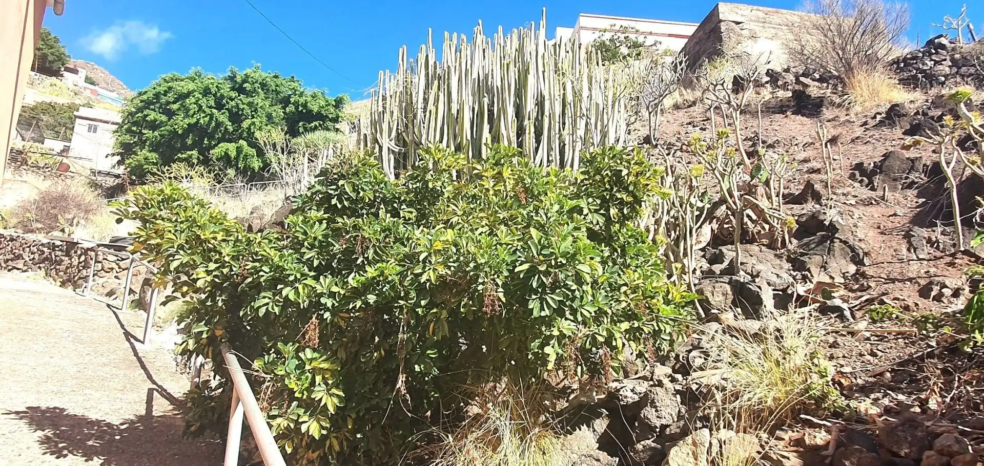 Garden of Residential for sale in Santa Cruz de Tenerife