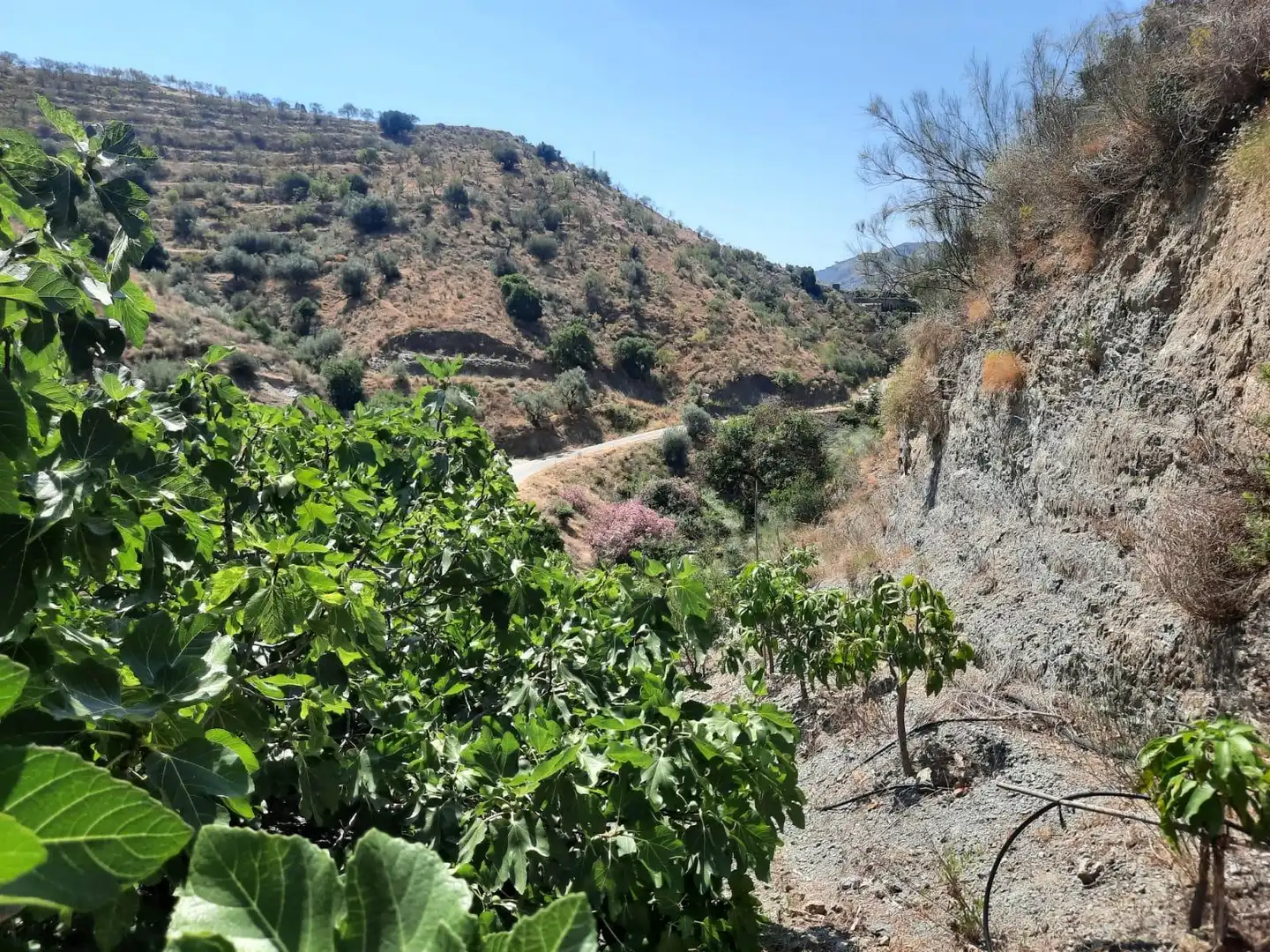 Terrenys i solars en venda a Canillas de Aceituno, imagen 4