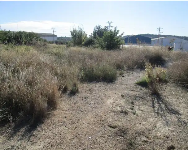 Terreno rustico in vendita a Buñol, imagen 13