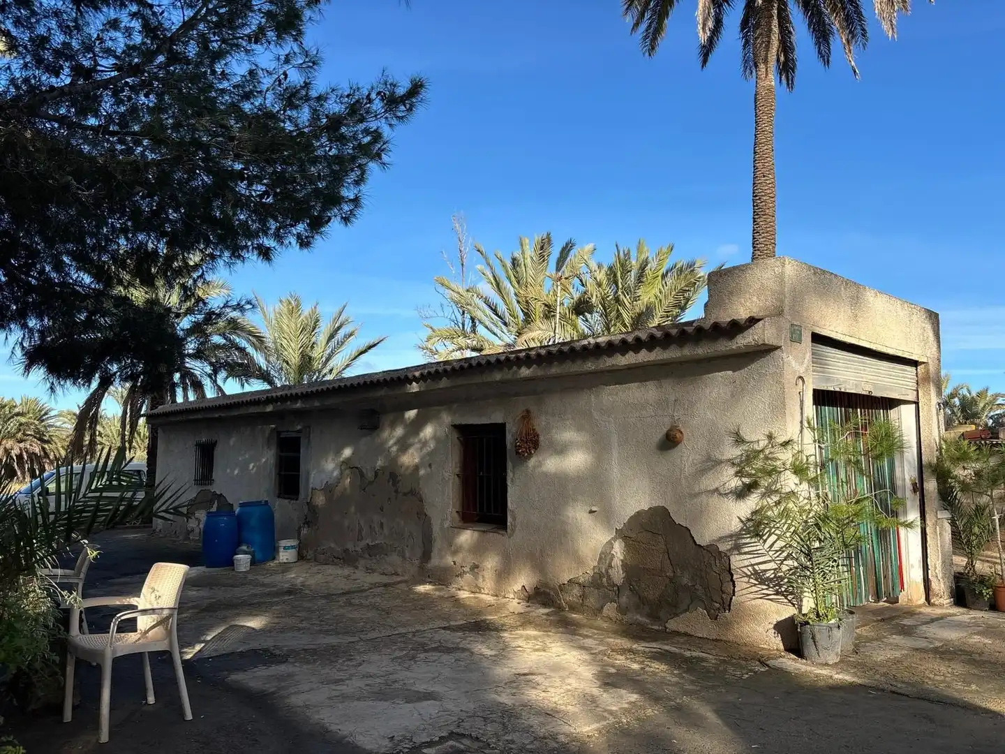 Vista exterior de Finca rústica en venda en Elche / Elx