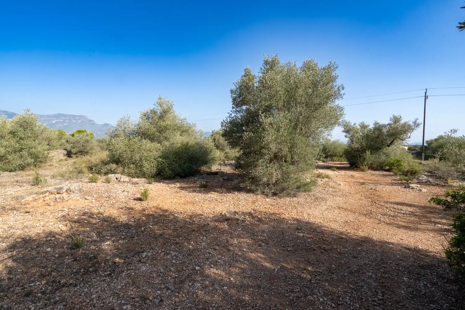 Rural land for sale in Vinallop, imagen 8
