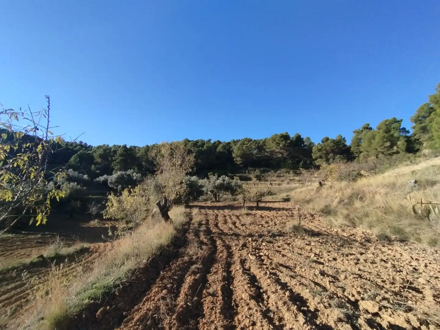 Terreni e lotti in vendita a La Fresneda, imagen 10
