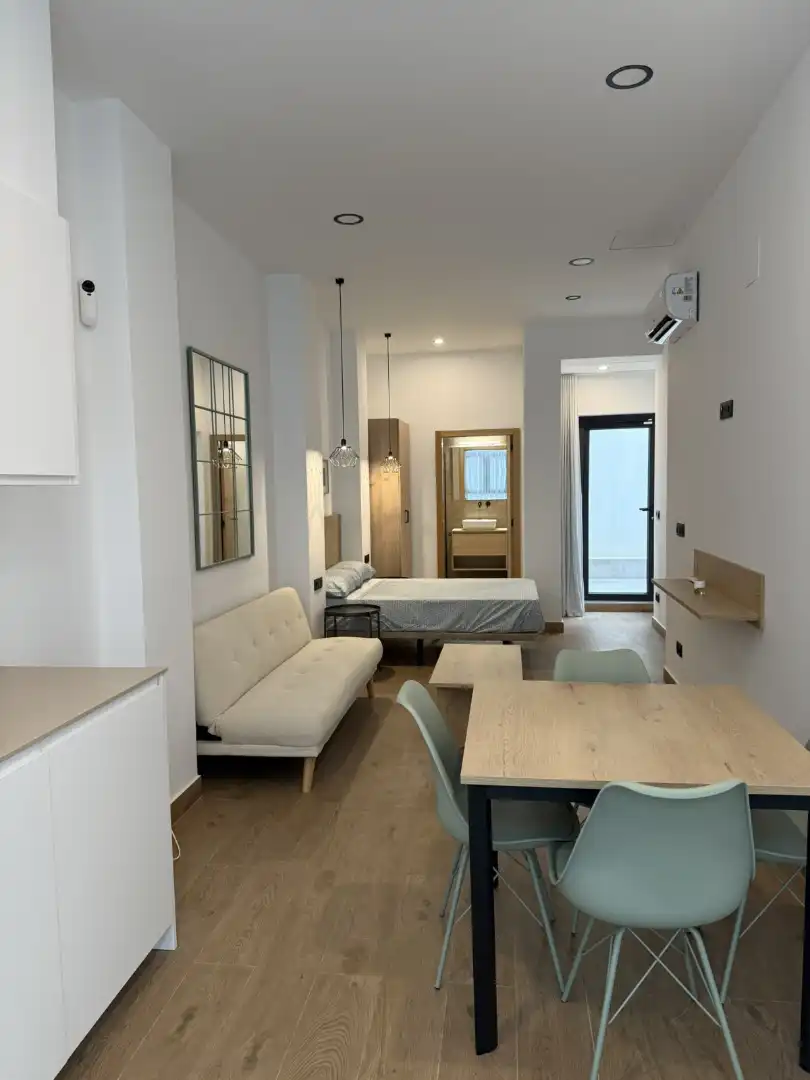 Sala de estar de Estudio en venta en Valencia con Aire acondicionado, Terraza y Amueblado