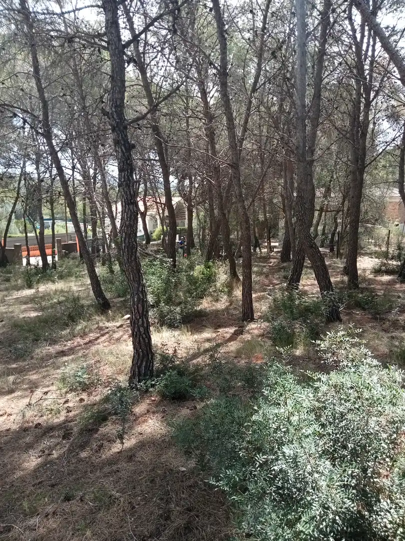 Rustikales Grundstück zum Verkauf in Avinguda de La Torre del Veguer 14, imagen 7
