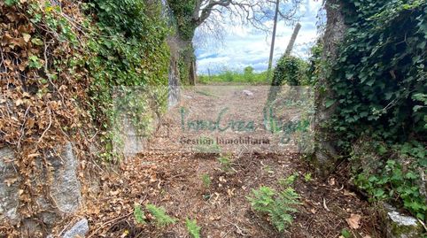 Foto 4 de Finca rústica en venda a Salceda de Caselas, Pontevedra