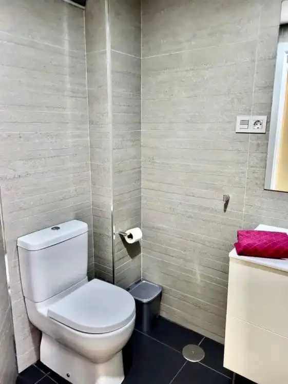 Bathroom of Apartments for rent in Rincón de la Victoria  with Parquet flooring