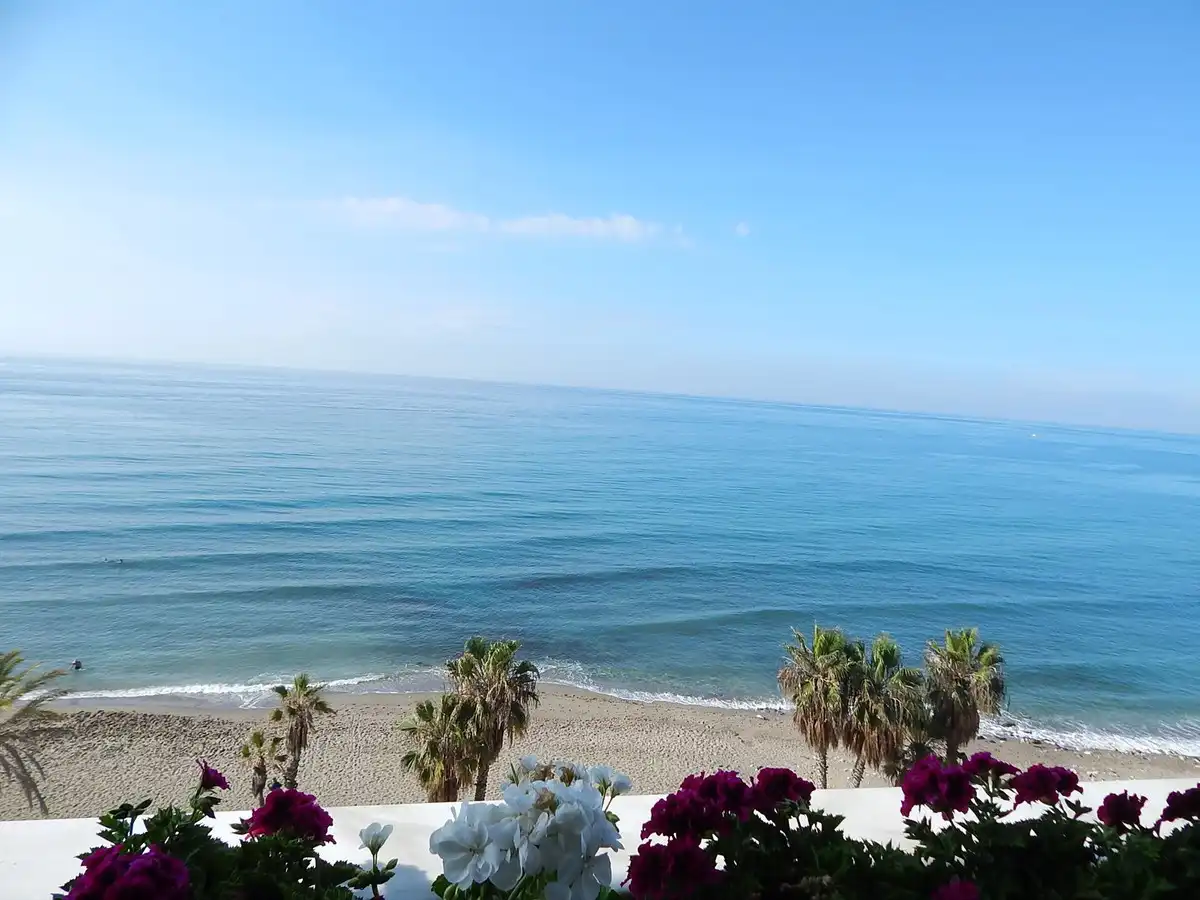 Apartment mit Pool zum Verkauf in Calle Pepe Carleton, imagen 6