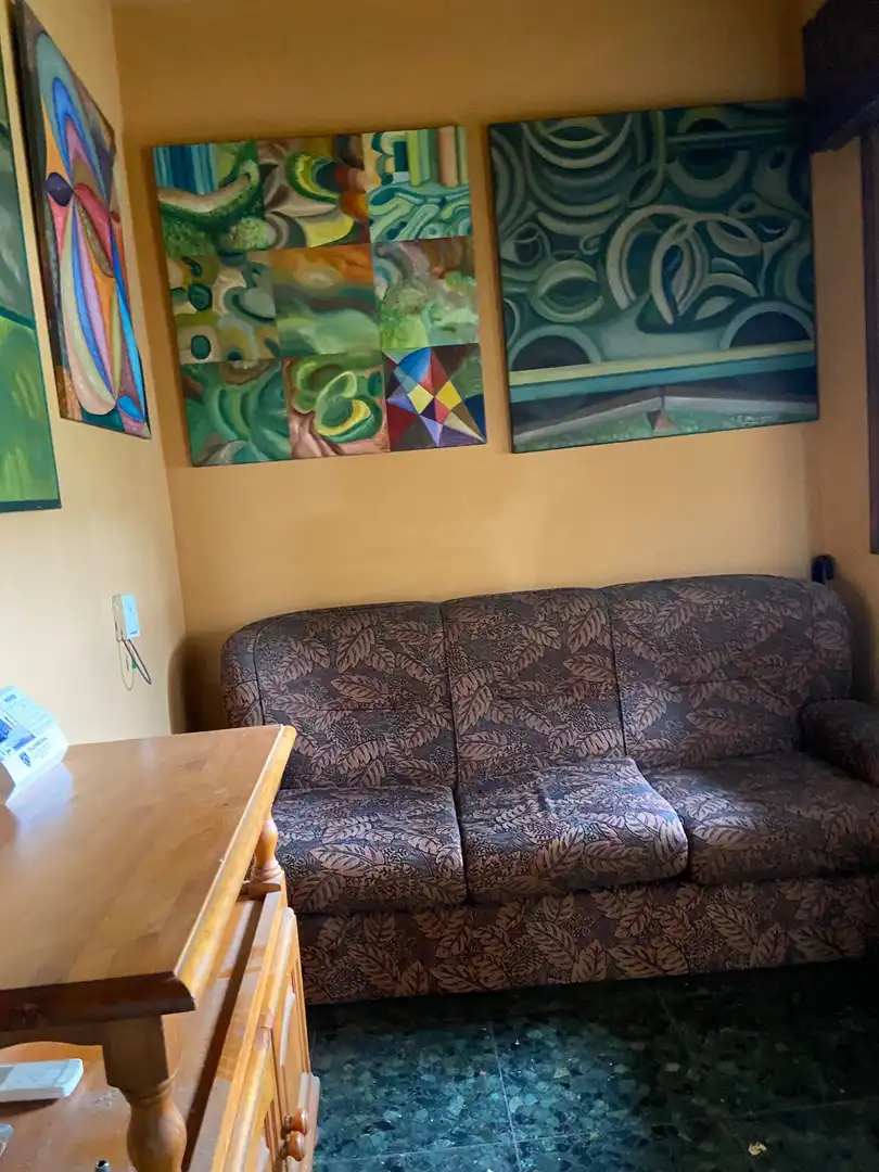Sala d'estar de Casa o xalet en venda en Lalín