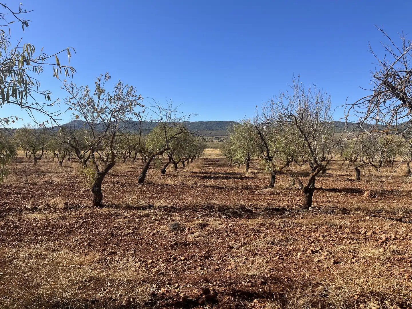 Rustikales Grundstück zum Verkauf in Avenida de Andalucía, imagen 3