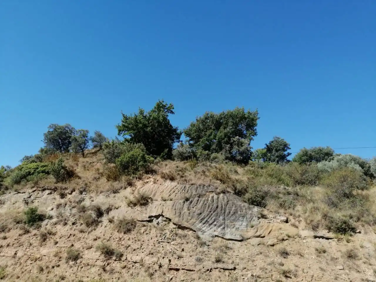 Terreni e lotti in vendita a Poligono PACAS, imagen 2