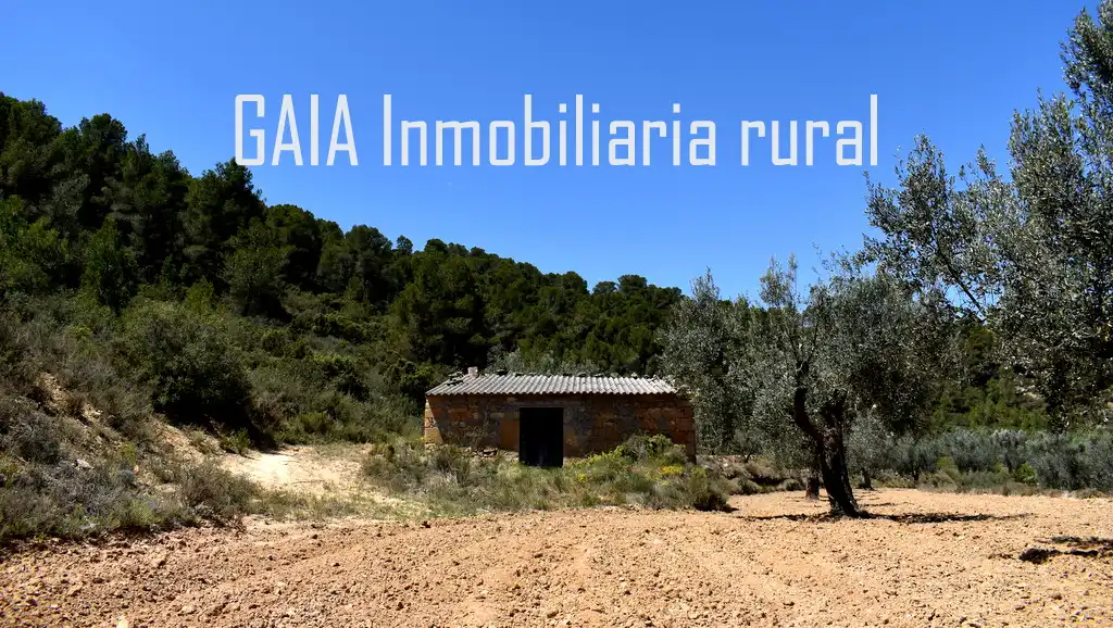 Vista exterior de Finca rústica en venta en Mazaleón