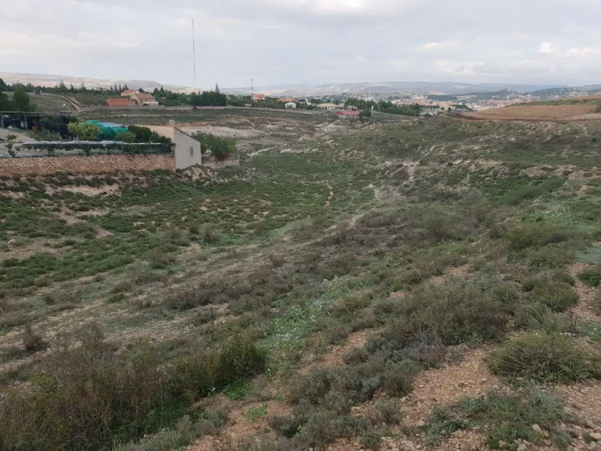 Terreni e lotti in vendita a El Pinar -  San León - Las Viñas, imagen 3