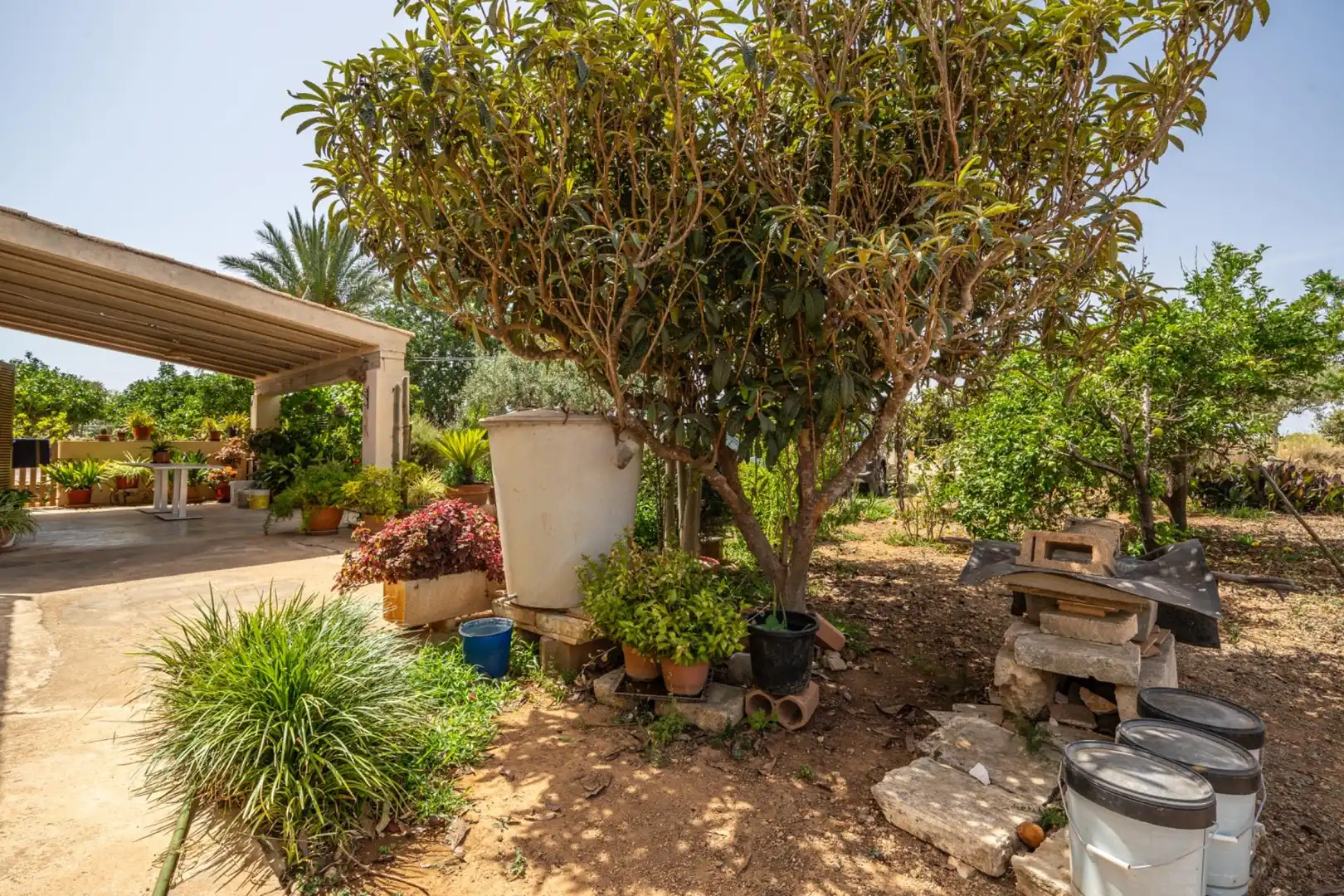 Jardí de Casa o xalet en venda en Felanitx