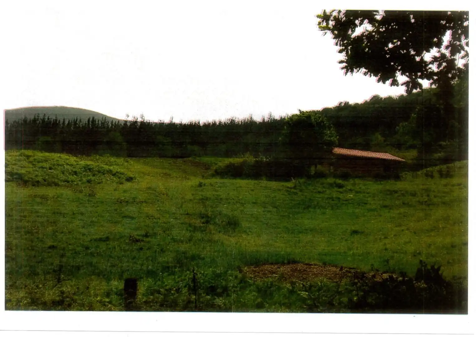 Houses for sale in Ruente