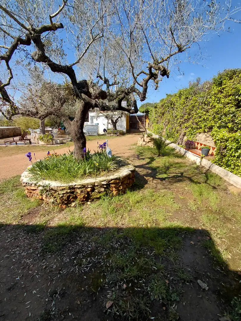 Terreno rústico en venta en Banyeres del Penedès, imagen 19