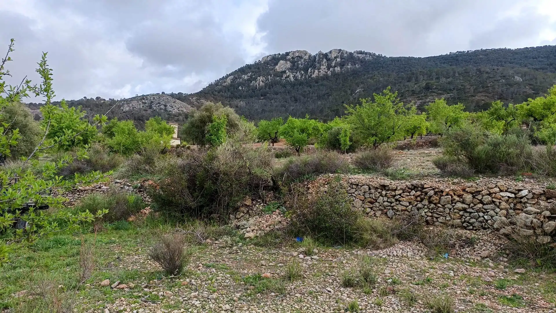 Haus mit Garten zum Verkauf in Hondón de las Nieves / El Fondó de les Neus, imagen 6
