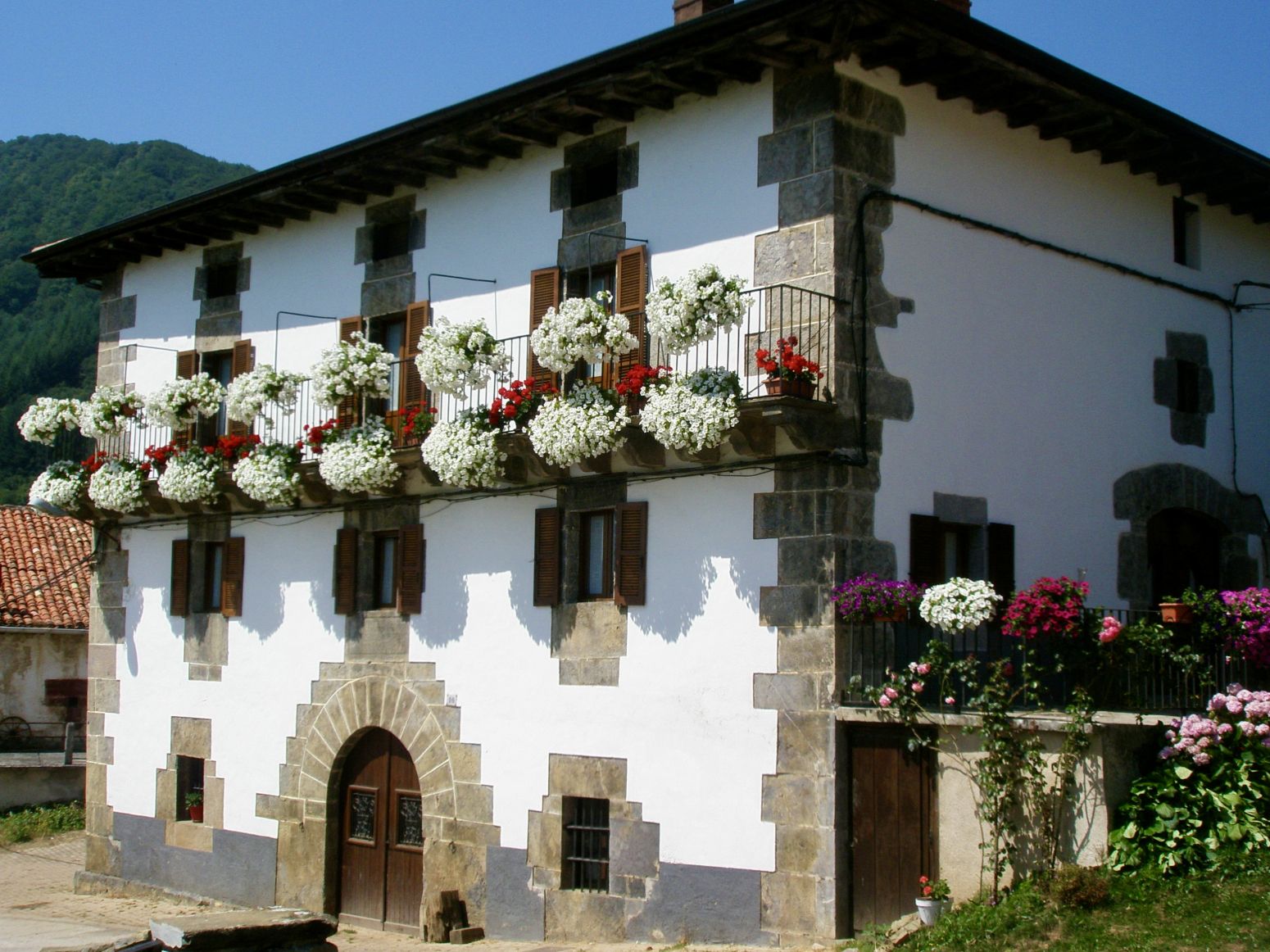 House or chalet for sale in Basaburua