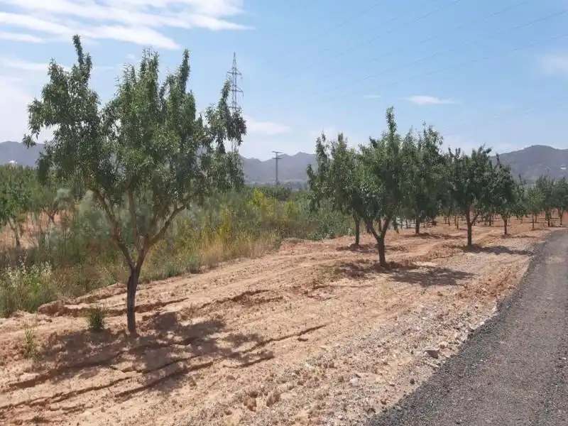 Terreno en venta en Fuente Álamo de Murcia