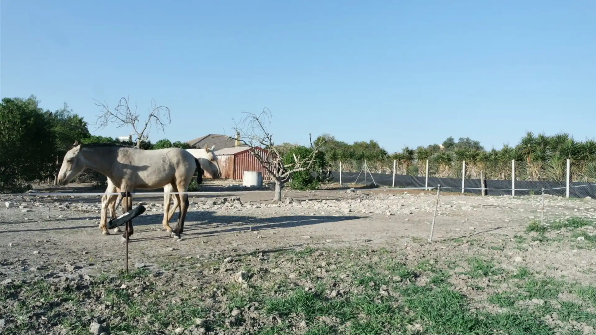 Country homes for sale in Sanlúcar de Barrameda