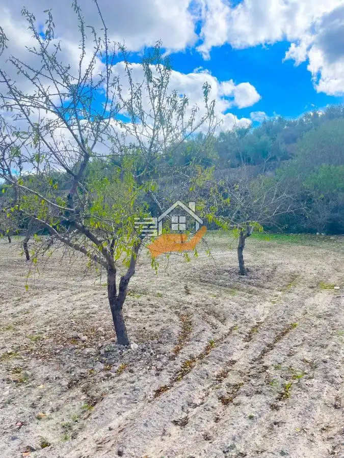 Residential land for sale in Vélez-Rubio, imagen 10