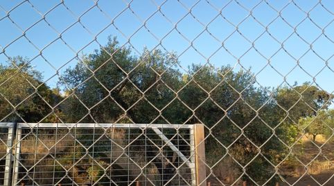 Foto 5 de Residencial en venta en Calle Arriba, 61, Barcarrota, Badajoz