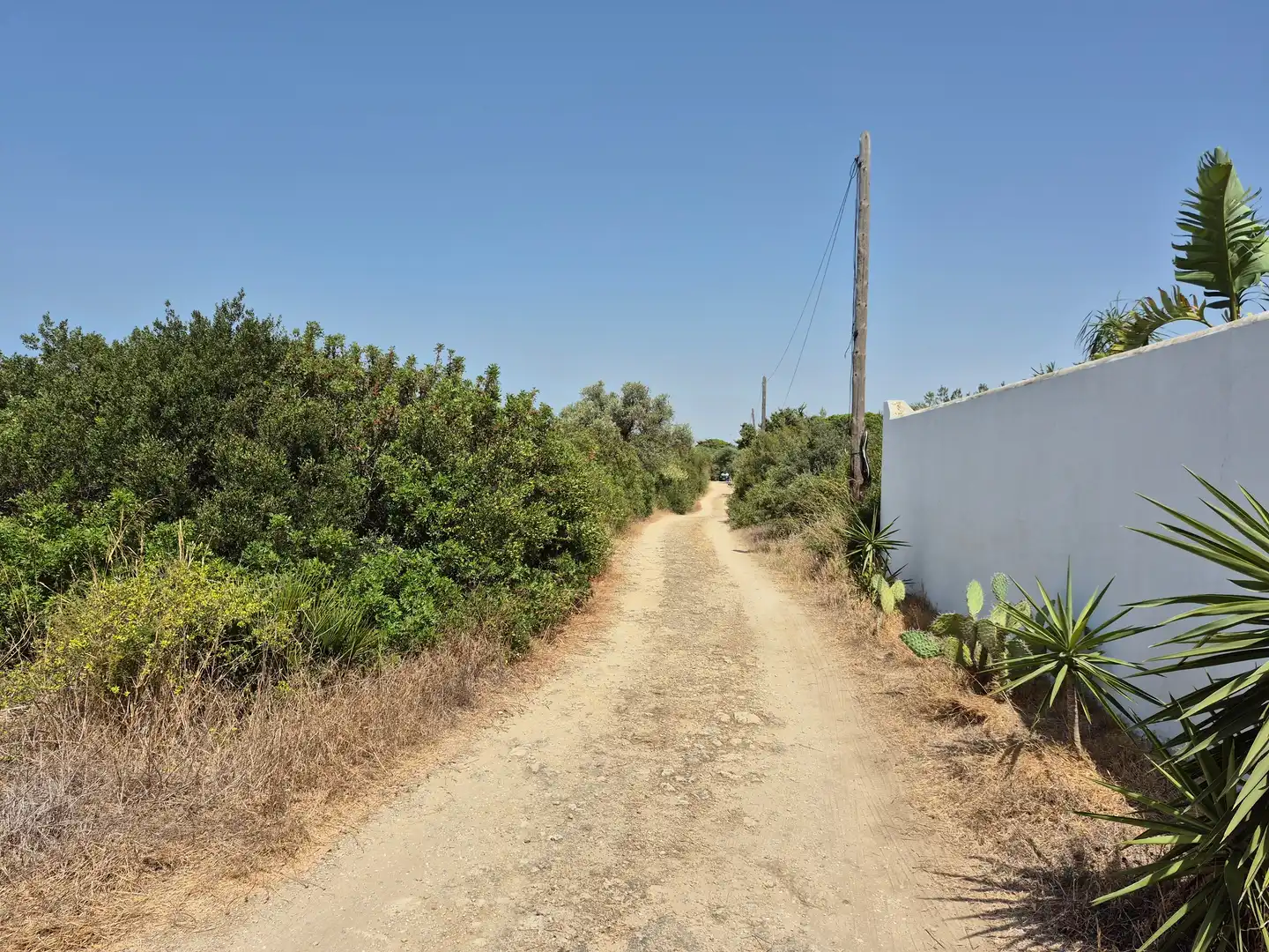 Country homes for sale in Barbate  with Terrace