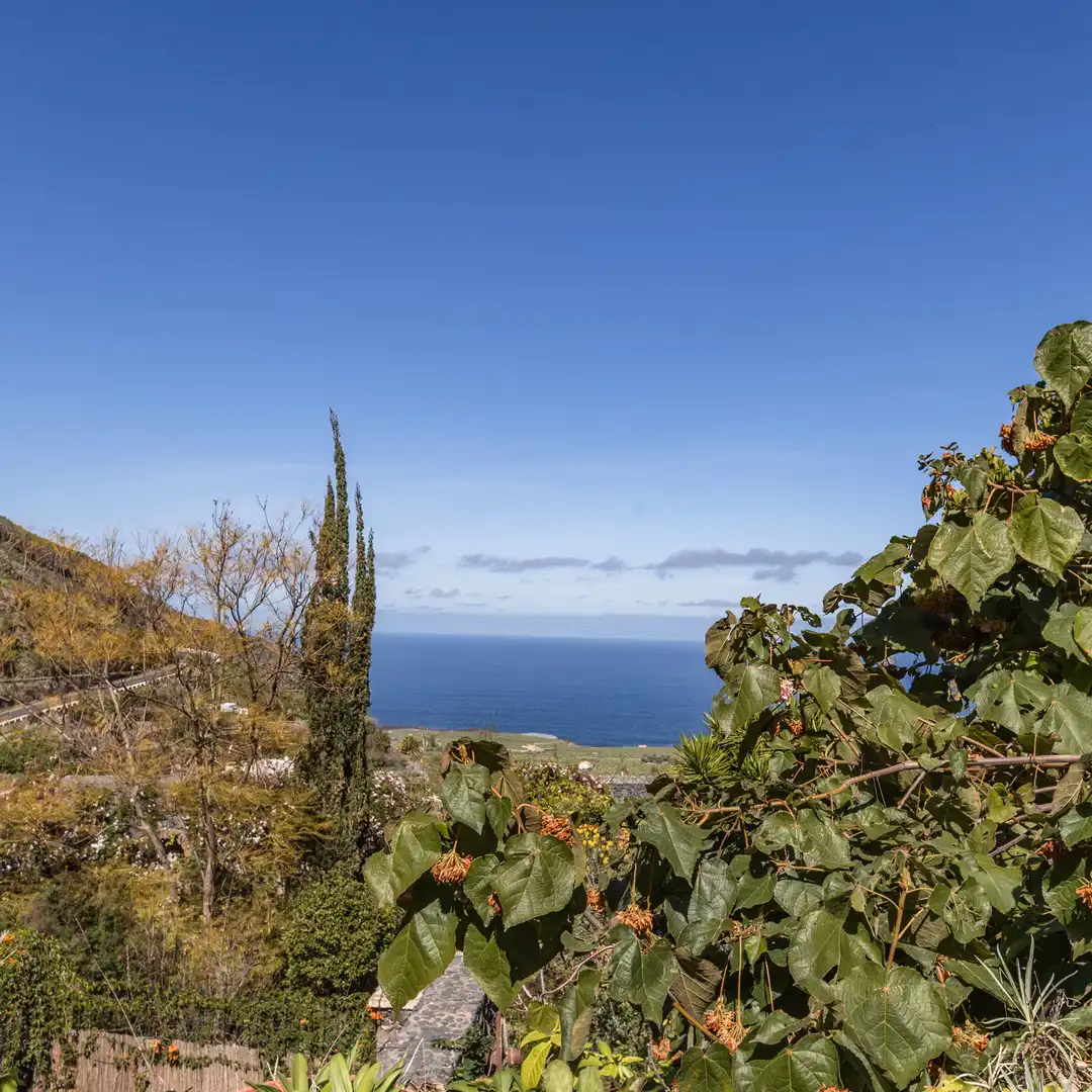 Vista exterior de Casa o chalet en venta en Icod de los Vinos con Calefacción, Jardín privado y Parquet