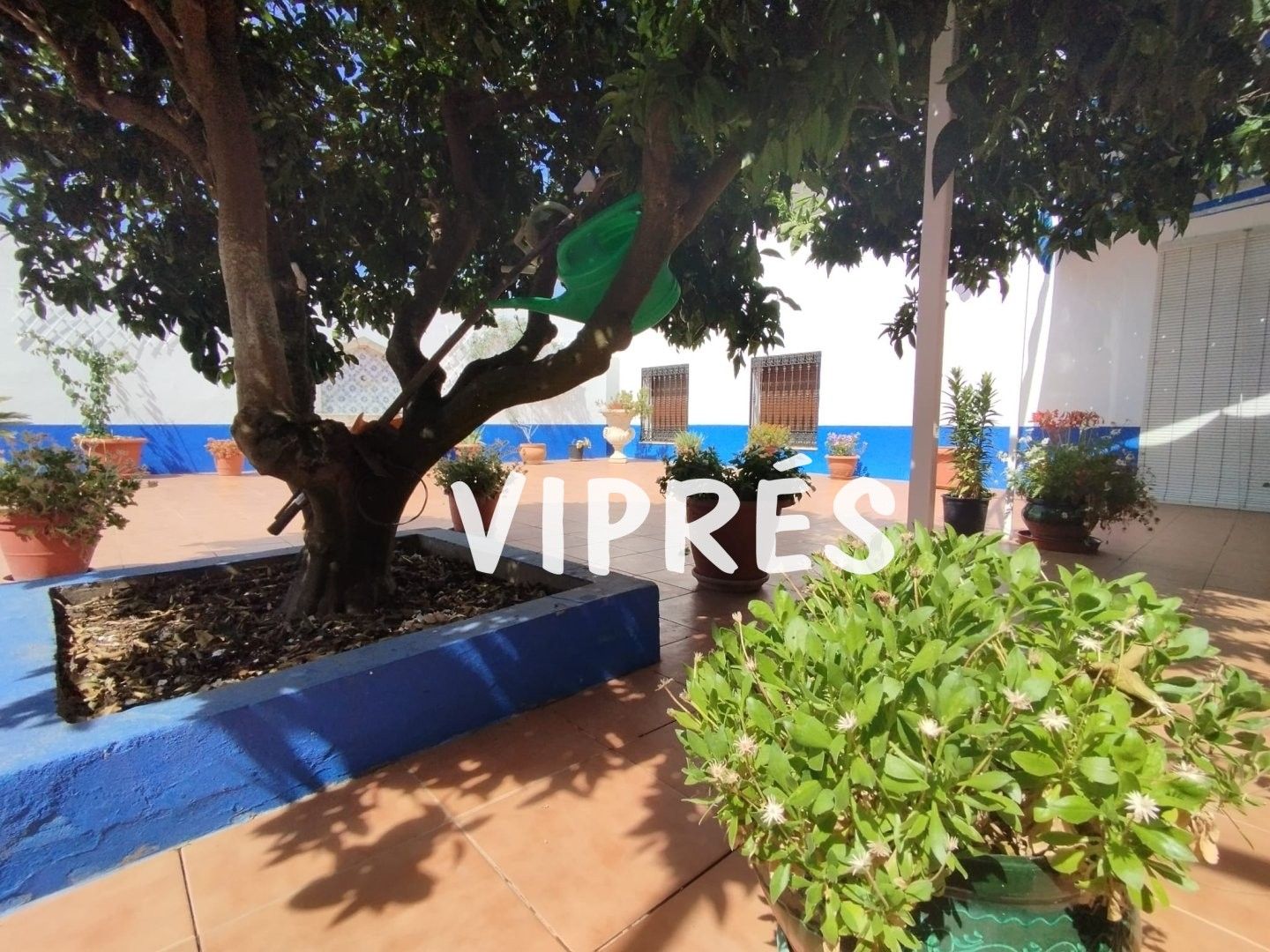 Garden of Residential for sale in Aljucén