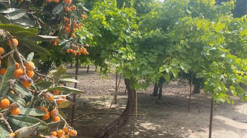 Photo 3 of Country house for sale in Calle Torrijos, Gerindote, Toledo