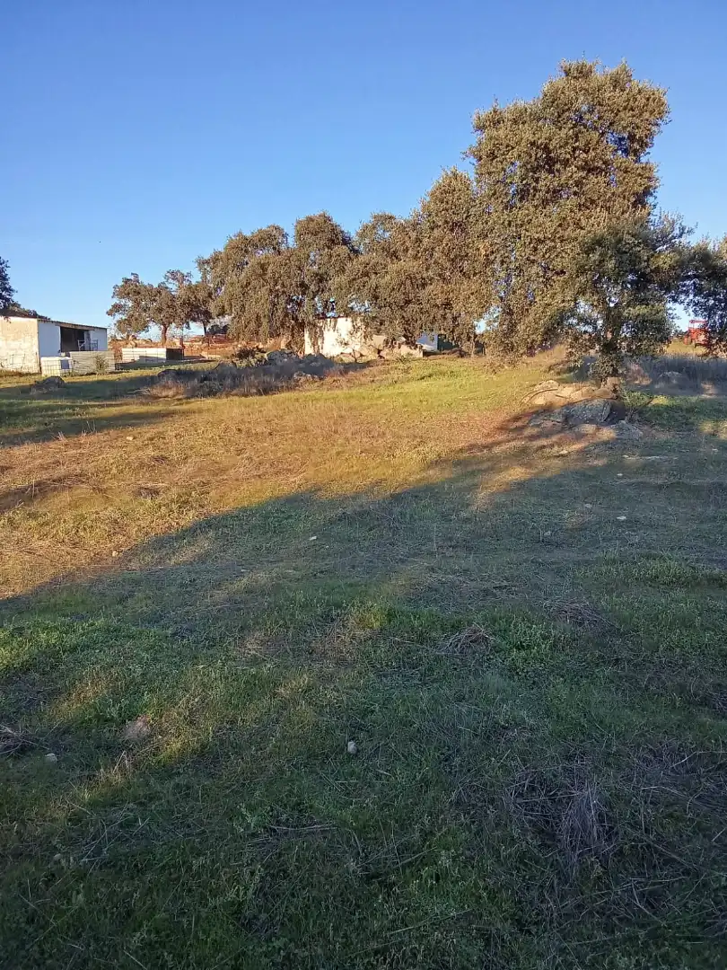 Terreni e lotti in vendita a Burguillos del Cerro, imagen 36