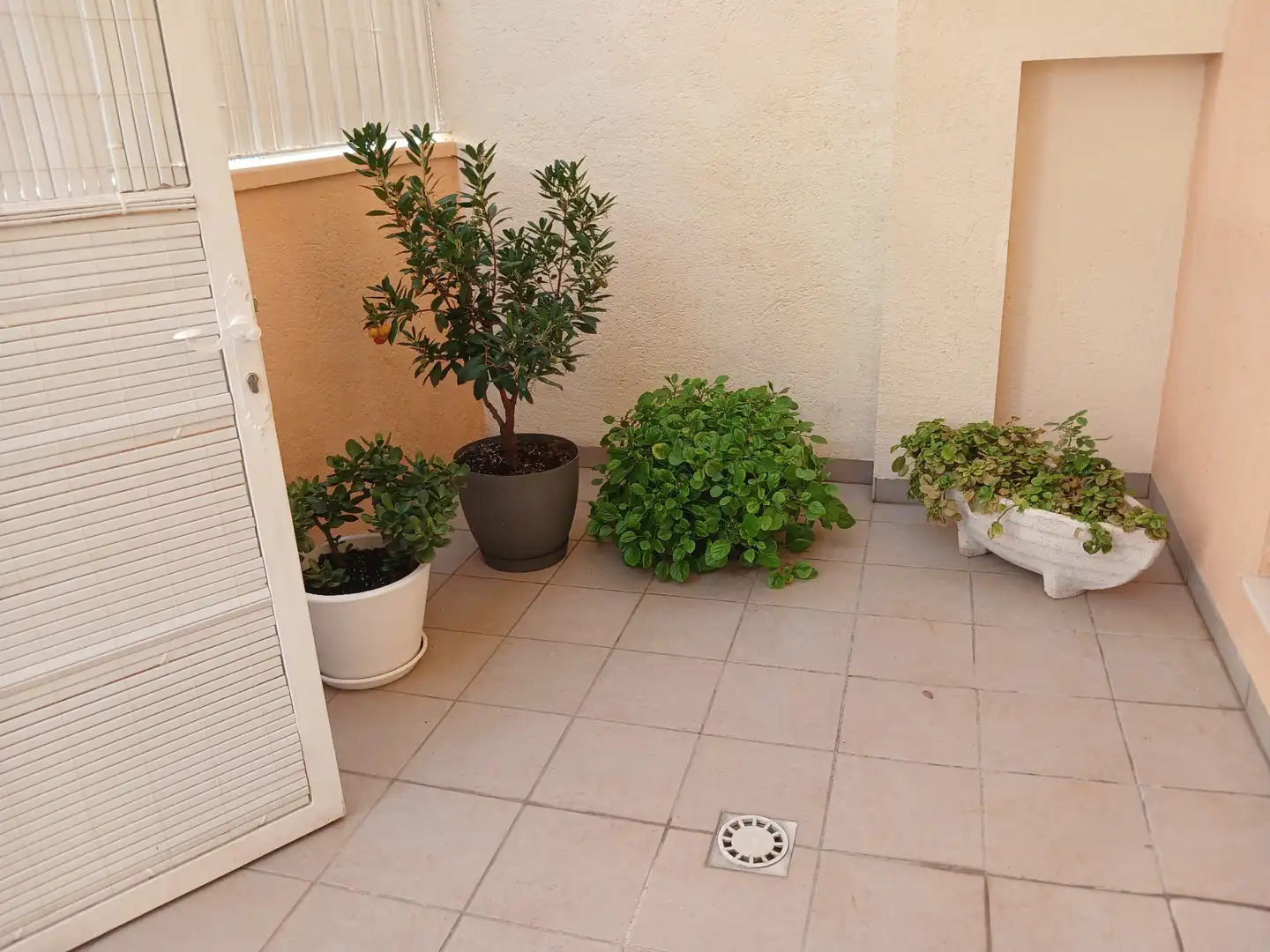 Casa a schiera con piscina in vendita a Carrer Marbella, imagen 23