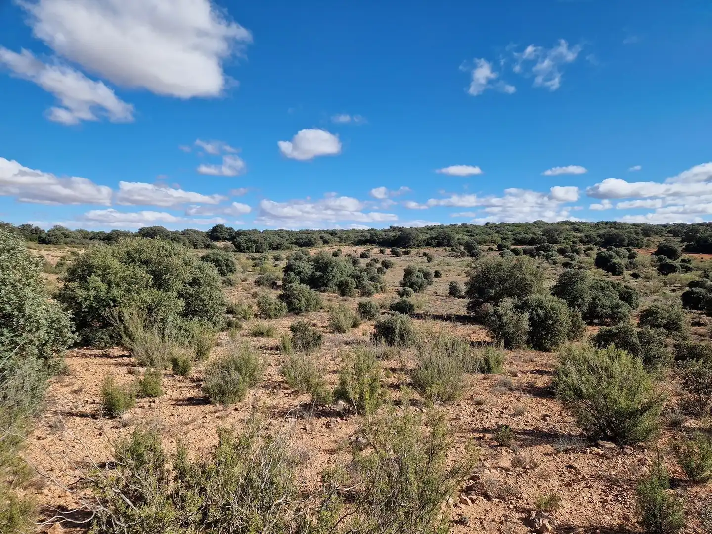 Rural land for sale in Pantano de Peñarroya 0, imagen 54