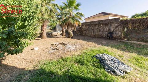 Photo 2 of House or chalet for sale in Condor, Villarrubia,  Córdoba Capital