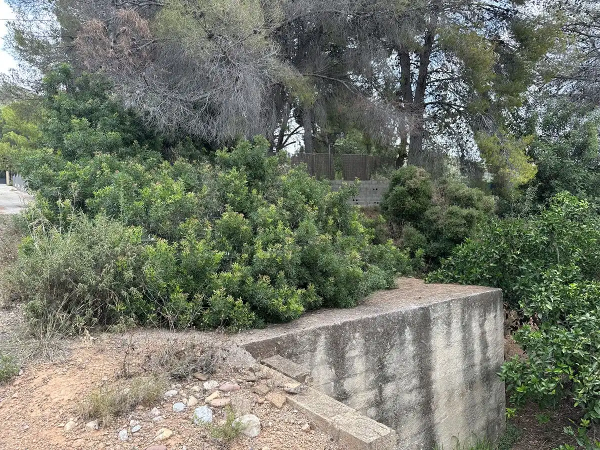 Rural land for sale in Sagunto ciudad, imagen 6