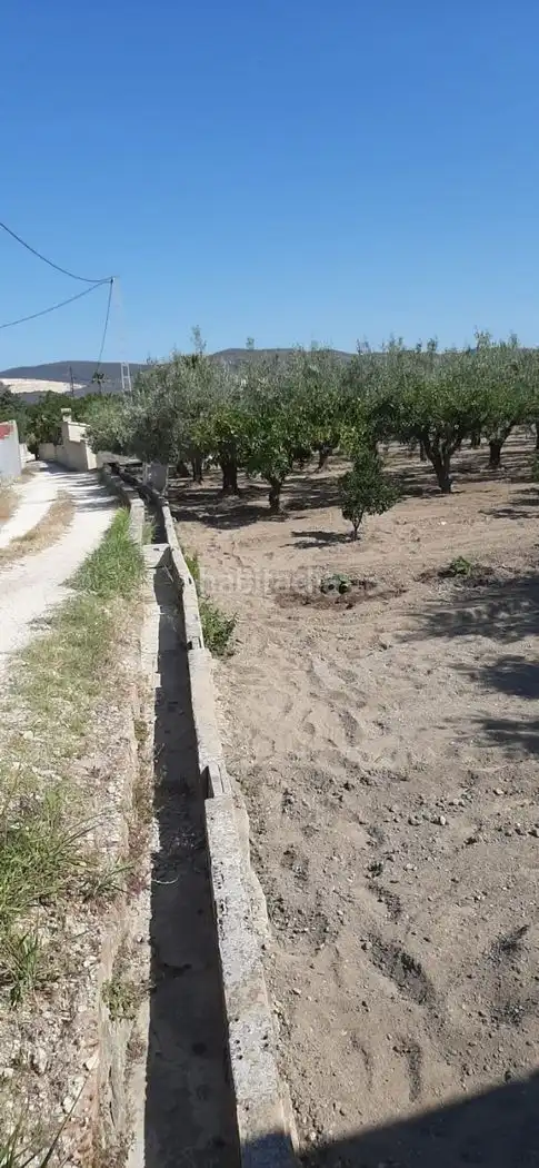 Terrain rustique à vendre à Carrer de l'Alcalde Paco Montes 43, imagen 3