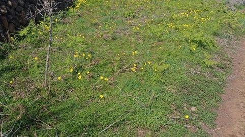 Foto 4 de Terreno en venta en Diseminado Preventorio, 17, La Esperanza - Llano del Moro, El Rosario