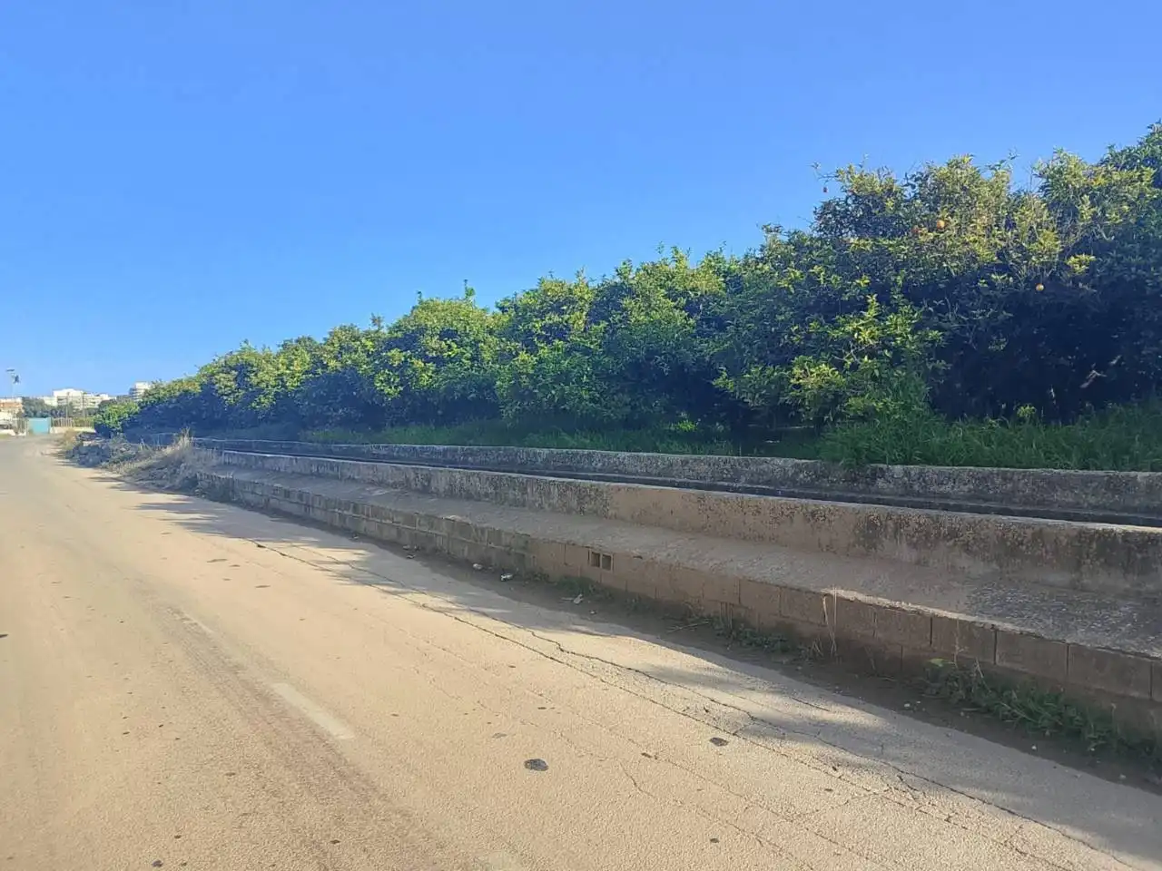 Terreny rústic en venda a Camino Viejo de Xátiva, imagen 3