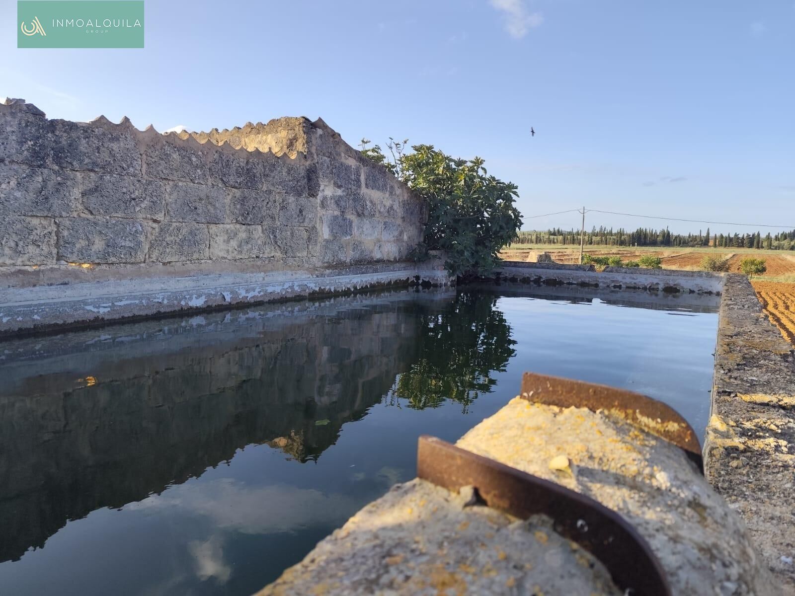 Swimming pool of Residential for sale in Sa Pobla