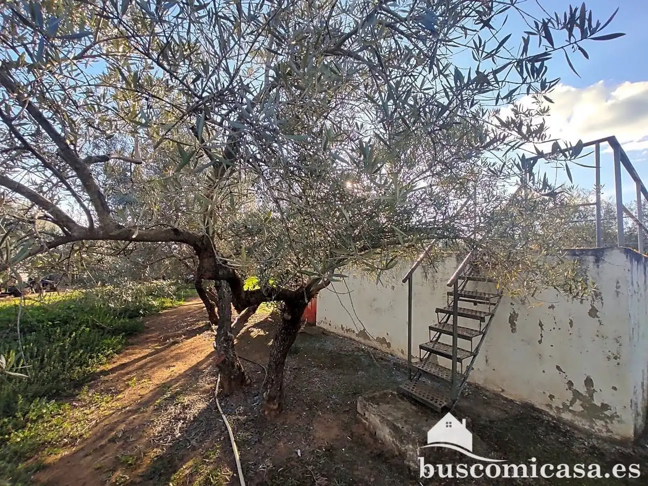 Casa amb jardí en venda a San Roque - La Cruz - La Rozuela, imagen 29