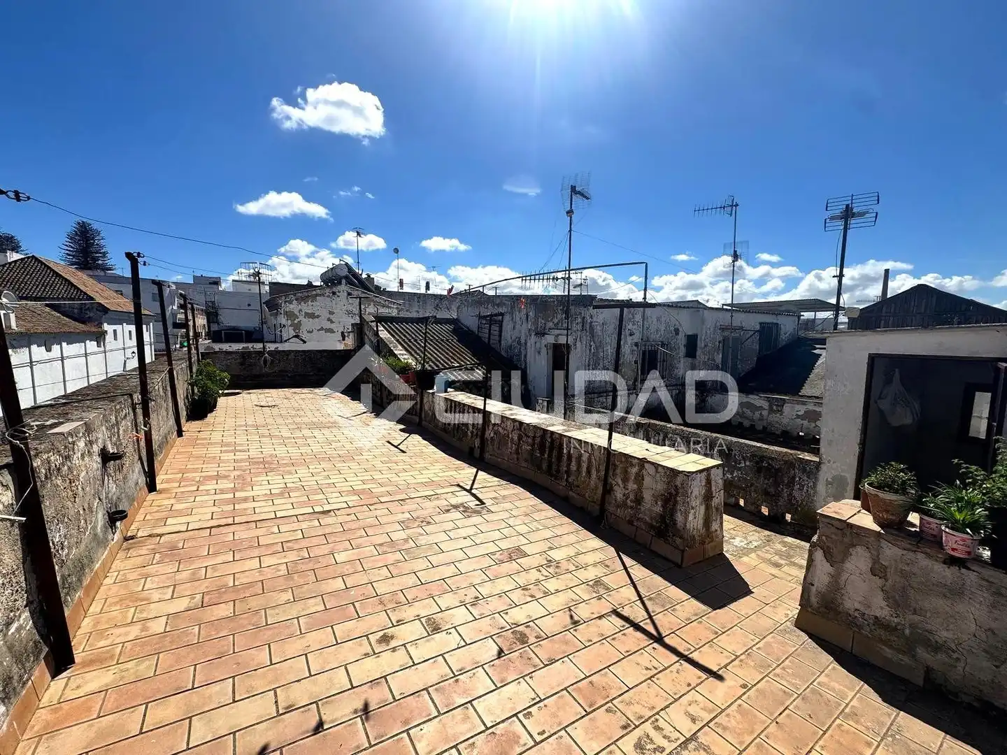 Vista exterior de Casa o xalet en venda en Sanlúcar de Barrameda amb Balcó