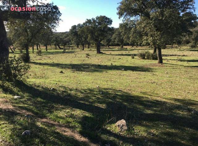 Finca rústica en Venta en Torrecampo