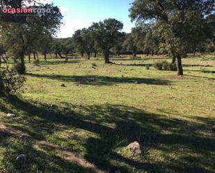 Country house zum verkauf in Torrecampo