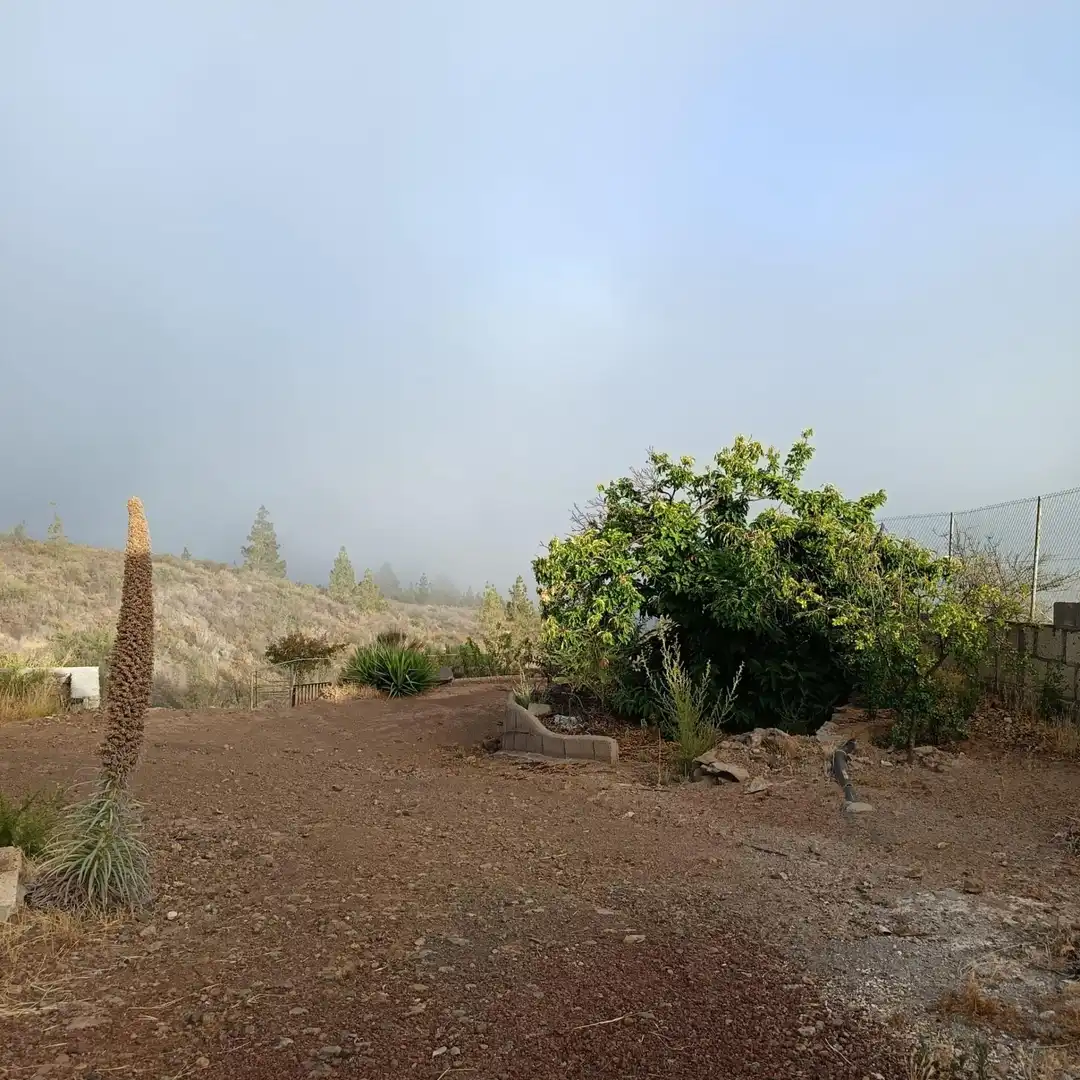 Finca rústica en venda en Granadilla de Abona