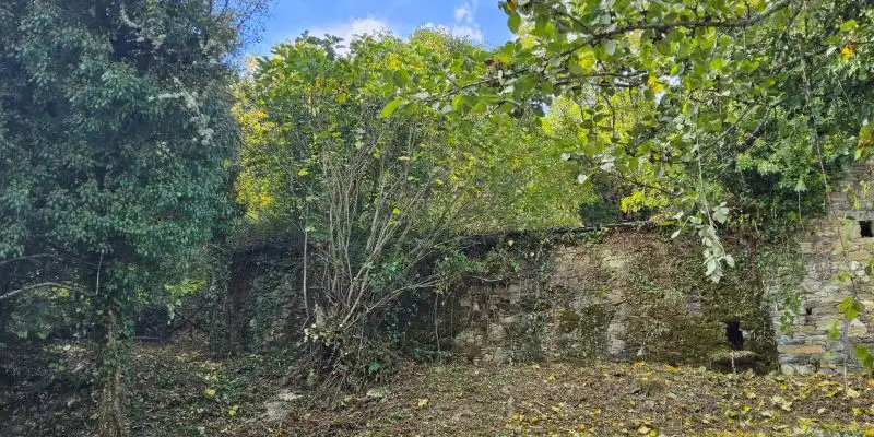 Finca rústica en venta en As Nogais 